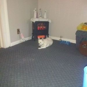 Meet your Posher, Bruce